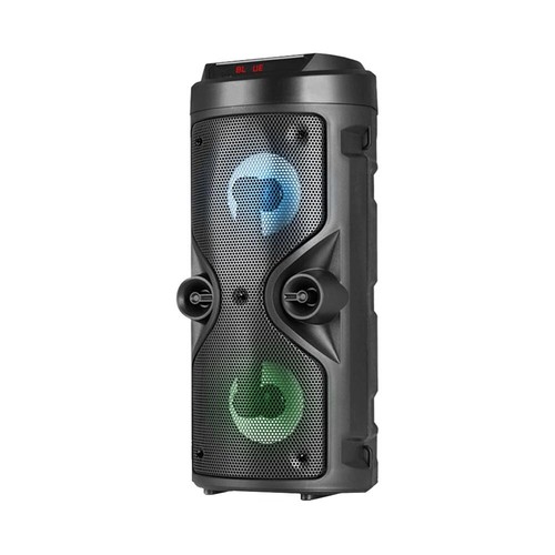 Cassa bluetooth karaoke